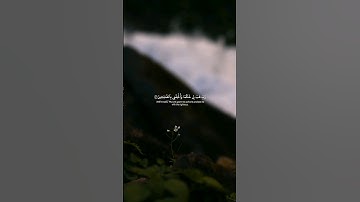 قران كريم | بصوت القارئ اسلام صبحي ☘️🍁 #تلاوات_خاشعة #قران_كريم #اسلام_صبحي