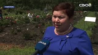 В Ставропольском Ботаническом саду расцвели пионы
