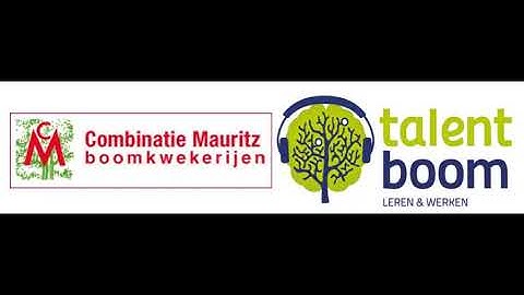 Talentboom podcast met Gert Frentz van Combinatie Mauritz