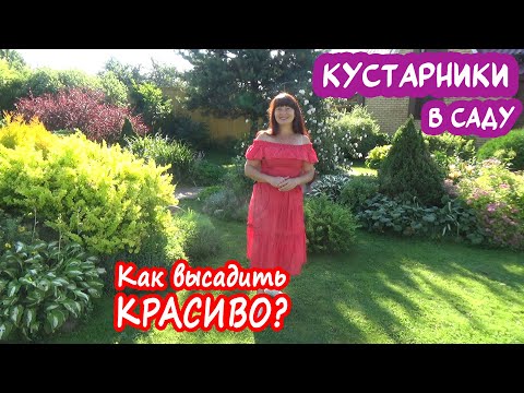 КОМПОЗИЦИИ из КУСТАРНИКОВ и ХВОЙНЫХ РАСТЕНИЙ. Лучшие кустарники и их сочетания для цветников!