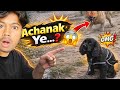 Bageera Ghoom Raha Tha  | Achanak Ye Ho Gaya 😱 | Funny Dog Vlog