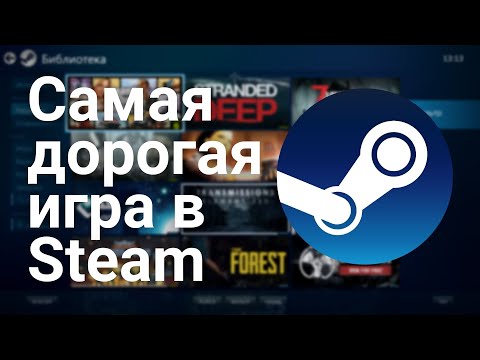 Самая дорогая игра в Steam