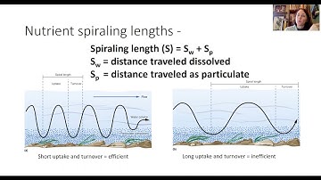 Freshwater Ecosystems - Part 4