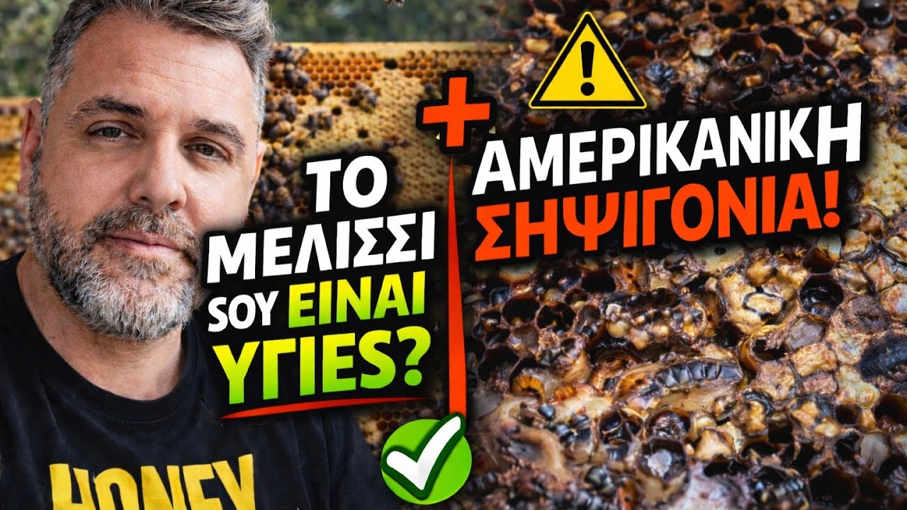 ΕΙΝΑΙ ΥΓΙΕΣ ΤΟ ΜΕΛΙΣΣΙ ΣΟΥ; Σημάδια Υγείας & Αμερικανική Σηψιγονία | Storytime 🐝