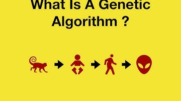 A Introduction To NEAT Algorithm