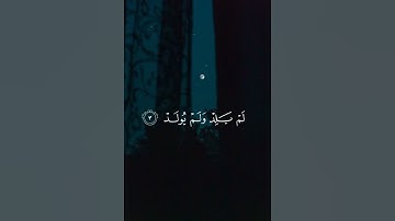 سورة الإخلاص للقارئ #شريف_مصطفى