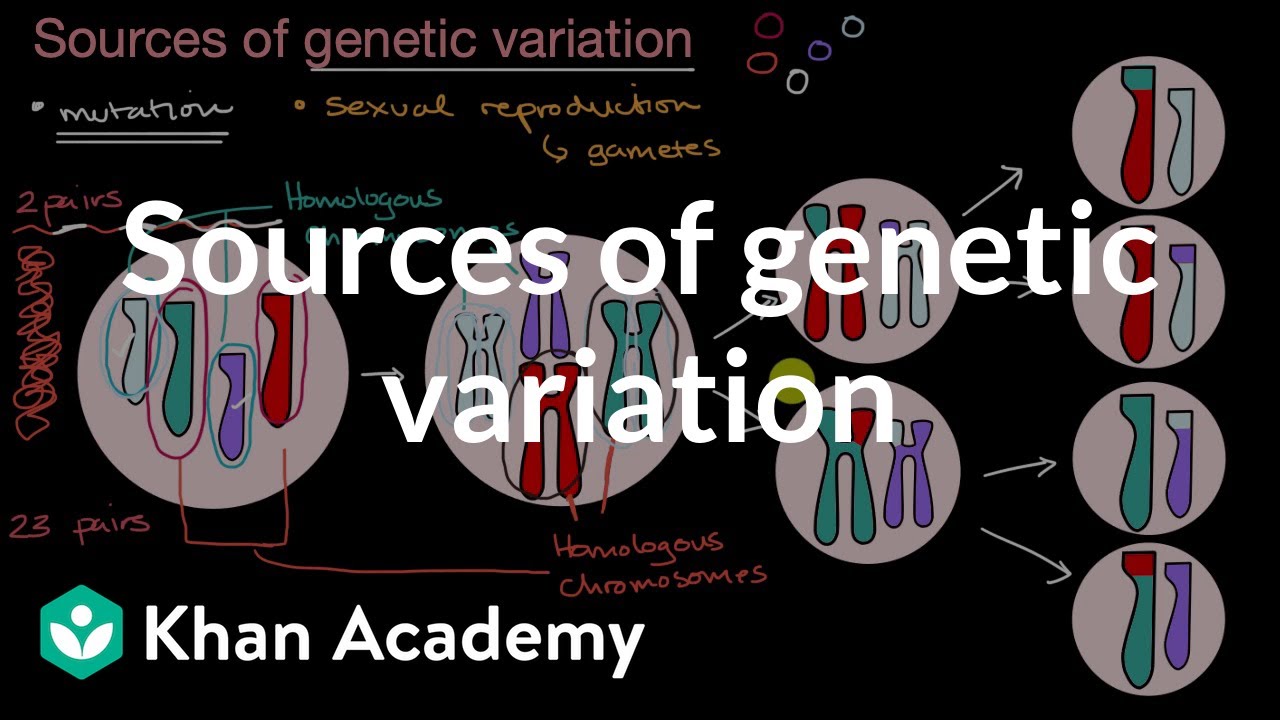 case study on genetic variation