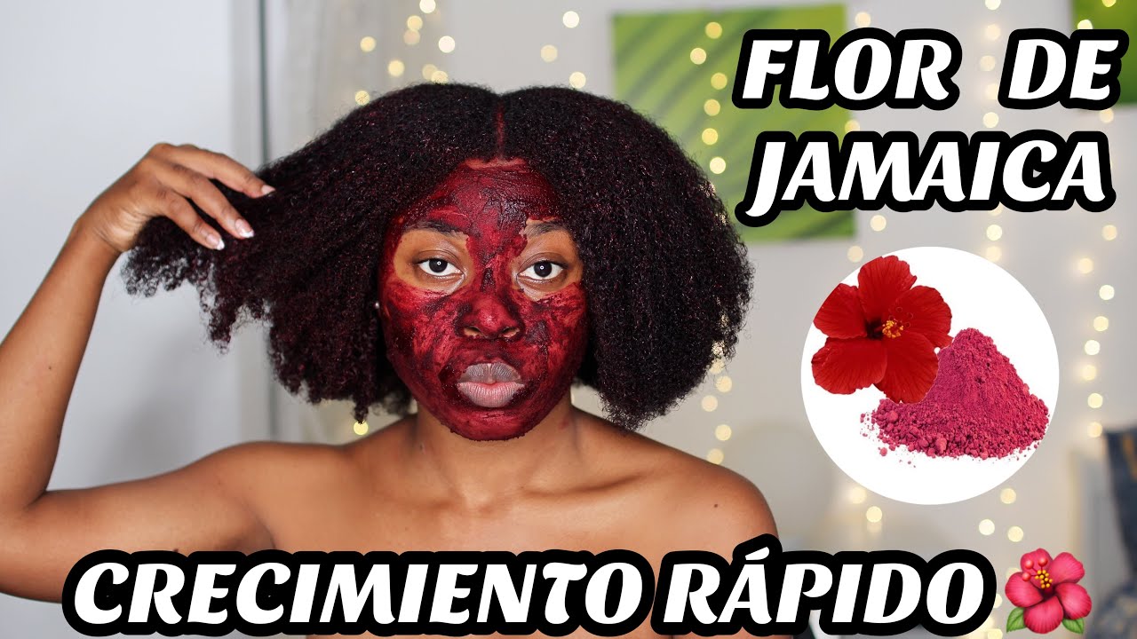 CRECIMIENTO RÁPIDO DEL CABELLO con FLOR DE JAMAICA || POLVOS DE HIBISCO para el CABELLO || Rihanel