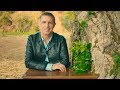 Julien clerc  sous mon arbre clip officiel