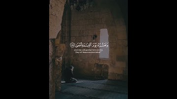 القارئ : الشيخ احمد النفيس / سورة طه