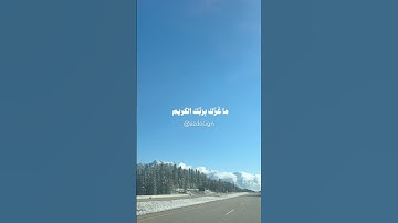 تلاوة خاشعة #اكسبلور #قرآن #تلاوة_خاشعة #ترند #المنشاوي #ترتيل #المنشاوي_رحمه_الله #راحة_نفسية