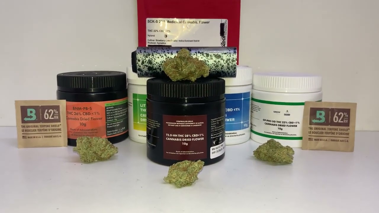 | MIKE TYSON 2.0 HAYMAKER HAZE |🔥 UK MEDICAL CANNABIS PATIENT 🔥 2025