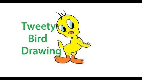 tweety bird drawing step by step for kids