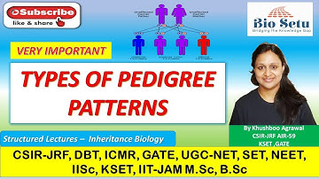 Pedigree Patterns | Inheritance Patterns | Autosomal | X-linked | Recessive | Dominant | Y-Linked