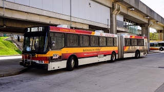 MTA Maryland 1997 NABI 436.08 American Ikarus #9619 Baltimore Link Infobus On Route 33