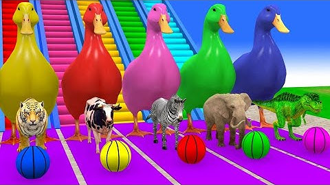 Long Slide Game With Cow Elephant Gorilla Hippopotamus Tiger - 3d Animal Game - Funny 3d Animals