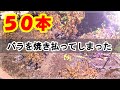 皆様ごめんなさい(._.)