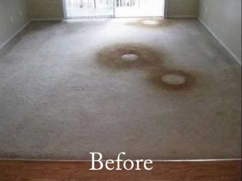 Carpet Cleaning Before And After Carpet Cleaning Before And After