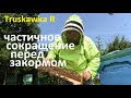 #Пчёлы. Частичное сокращаем семьи на пасеке. Формируем запасы кормов без ограничения королевы пчёл.