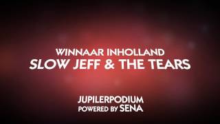 Animatie - Teaser Bevrijdingspop Haarlem 2013