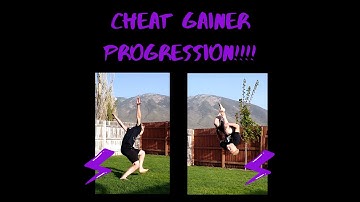 CHEAT GAINER PROGRESSION - ONE DAY -