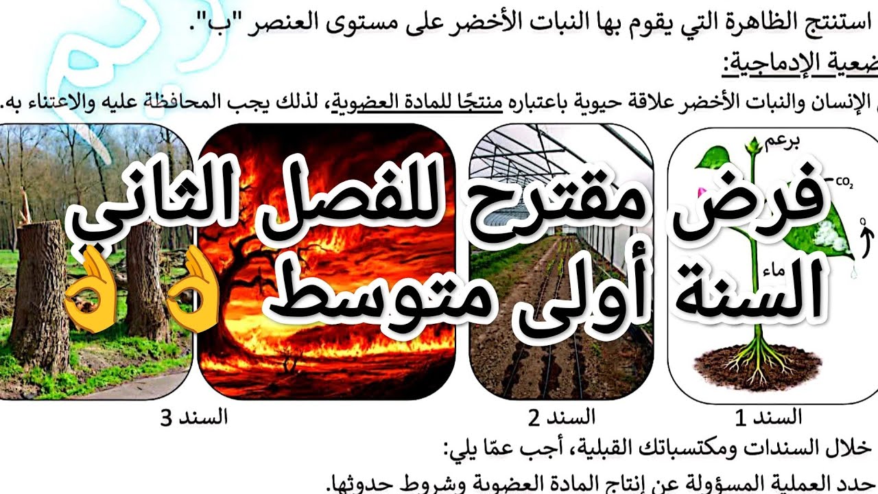 #فرض مقترح للفصل الثاني #السنة أولى متوسط #تحضيرا للفرض 