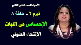 الأحياء للصف الثاني الثانوي ـ تيرم ثان { 08 } الإحساس فى النبات ـ الإنتحاء الضوئي