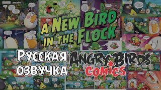 картинка: Комикс «A New Bird in the Flock» | Фанатская озвучка • Angry Birds Comics