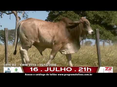 LOTE 062