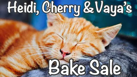 Fun Bedtime Story For Kids | Heidi, Cherry & Vaya'...