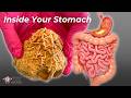 What Really Happens to Food In Your Stomach Mp3 Song