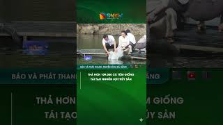 THẢ HƠN 109 000 CÁ TÔM GIỐNG TÁI TẠO NGUỒN LỢI THỦY SẢN