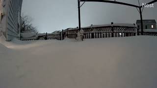 3 FEET OF SNOW TIMELAPSE! by Buffalo Weather 7,622 views 4 months ago 1 minute, 46 seconds