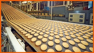 Amazing Food Industry Machines That Are At Another Level ▶1