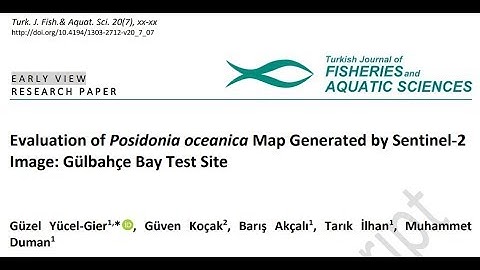 Posidonia oceanica Map Generated by Sentinel-2 Image
