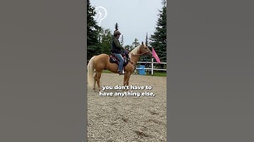 Working With Rescue Horse And Owner! Part 9! | The Horse Guru - Michael Gascon