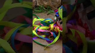 Exotic Colorful Fish On River  Stop Motion Cooking Relaxing Eel Egg  Seafood  Catfish   Cuckoo