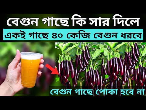 ভিডিও: আপনি কি তাত্ত্বিক ফলন খুঁজে পান?