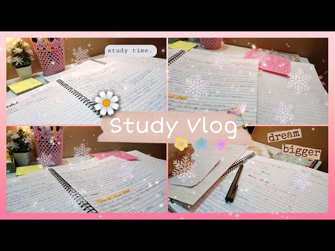 Study Vlog 🌸 | making an assignment | starandskies