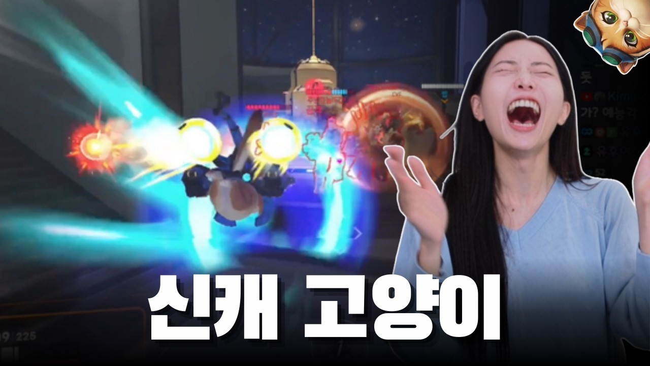 고양이 개재밌네 ㅋㅋ 유후냥이 인정? | 오랜만에 디바 플레이