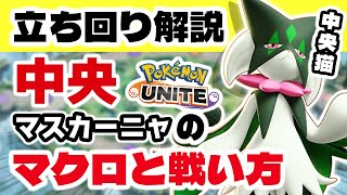 【立ち回り解説】中央マスカーニャのマクロと戦い方、集団戦のオーバーリソースについて話します。【ポケモンユナイト】