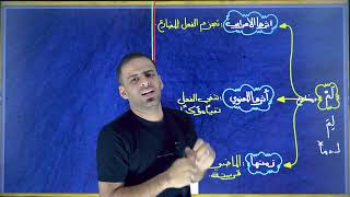 المراجعة المركزة- النفي ج٤