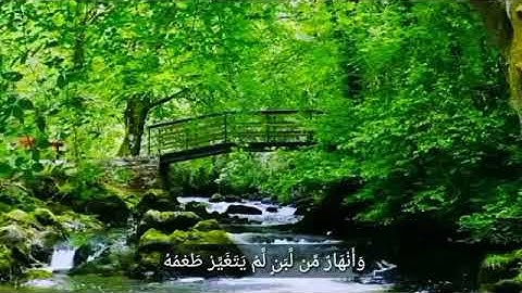 مثل الجنه التي وعد المتقون || مقطع صوتي مؤثر من القرآن الكريم