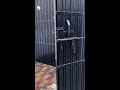Ab toh Jethalal bhi bhaage chale aaye itni sahuliyat dekh kar! Badho Delivery se delivery krwaye