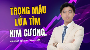 Phân Tích Thị Trường Chứng Khoán Việt Nam Ngày 25/11: VNI về đâu? Đáy mới hay "địa ngục"?