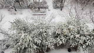 눈/김효근#가곡#강사최은희 #가곡배우기#강동노인복지관 #범물노인복지관