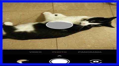 Breaking News | Paranoid android updated to 7.3.0, adds its own camera app, launcher tweaks, and bl