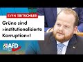 Grüne sind „institutionalisierte Korruption“! – Sven Tritschler (AfD)