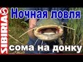 В ночь на СОМА ! Рыбалка с ночевкой Ночная ловля сома на донку