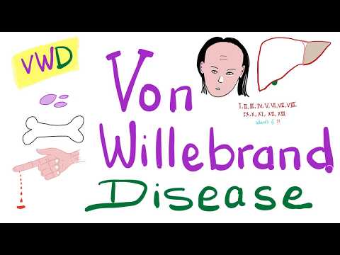 Von Willebrand Disease (VWD) | The Most COMPREHENSIVE Explanation!
